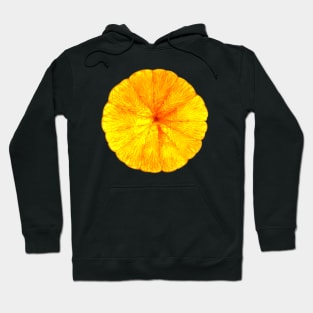 Juicy Conture Hoodie